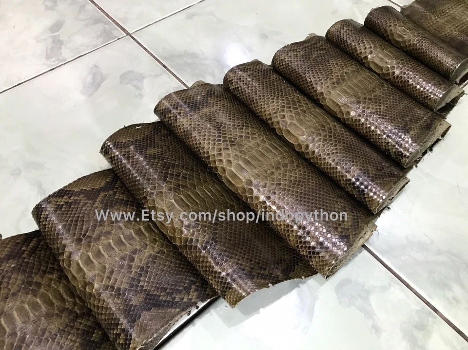 Genuine Python Leather, Exotic Snake Skin, Green SnakeSkin, Green Python Leather - Image 3 of 4