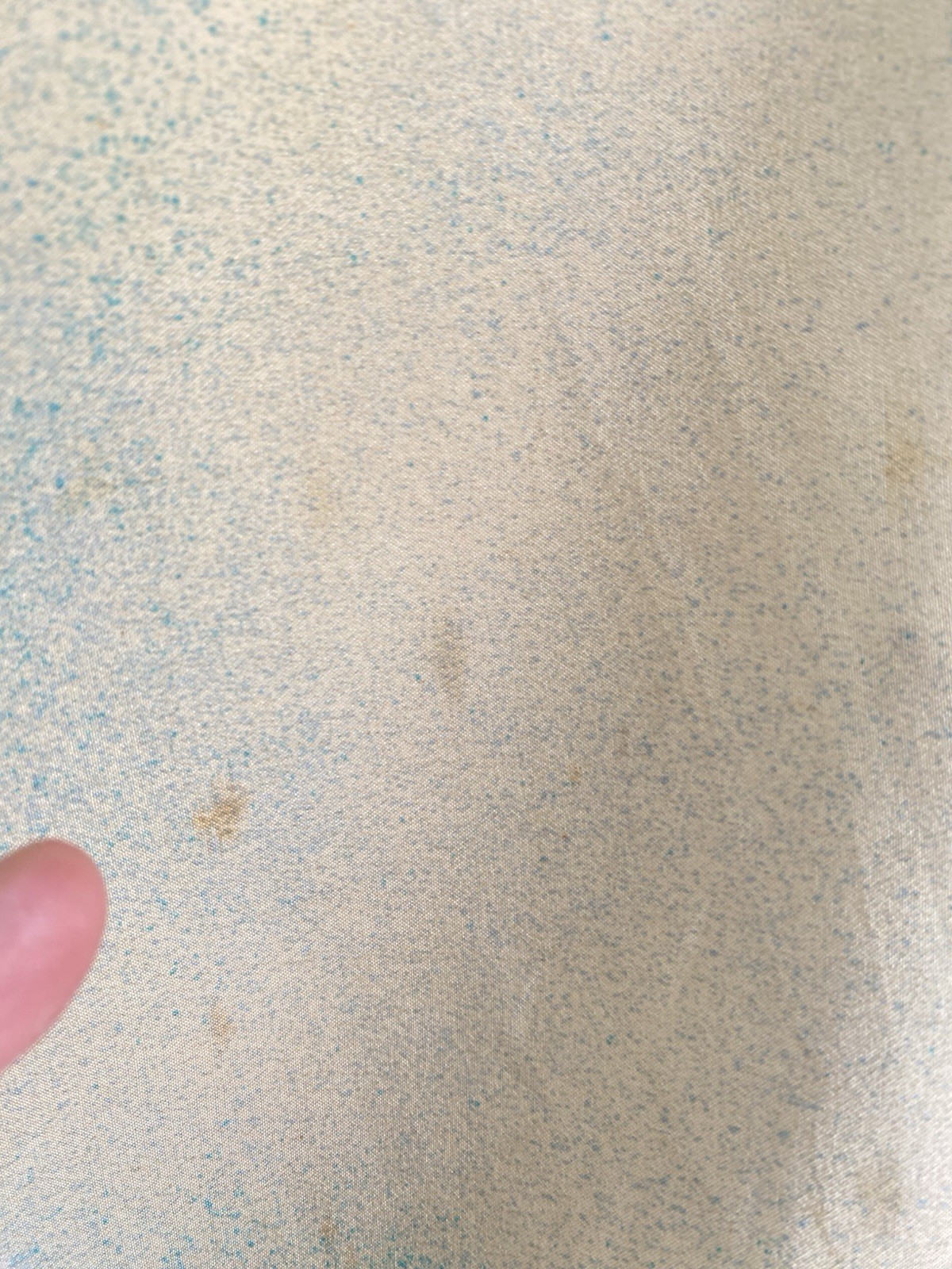 Picture 3 of 8