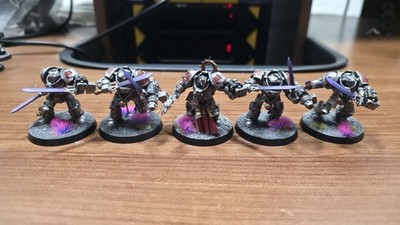 Paladin Squad Grey Knights Warhammer 40k Painted