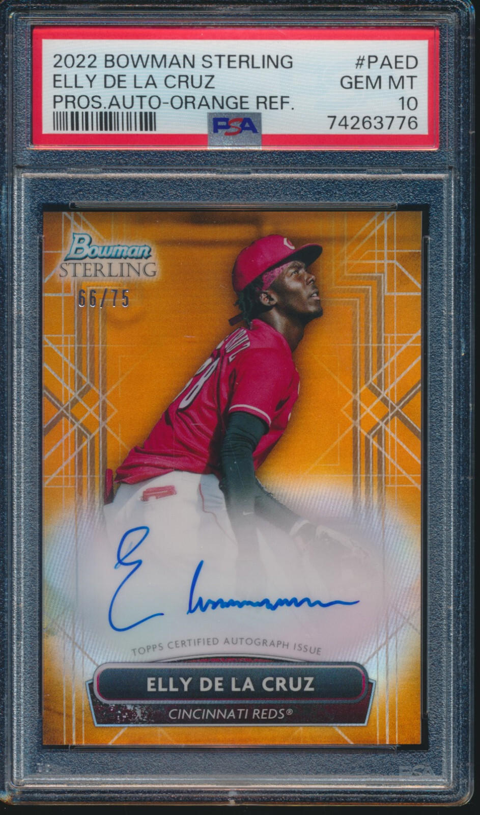 ELLY DE LA CRUZ BOWMAN STERLING AUTO