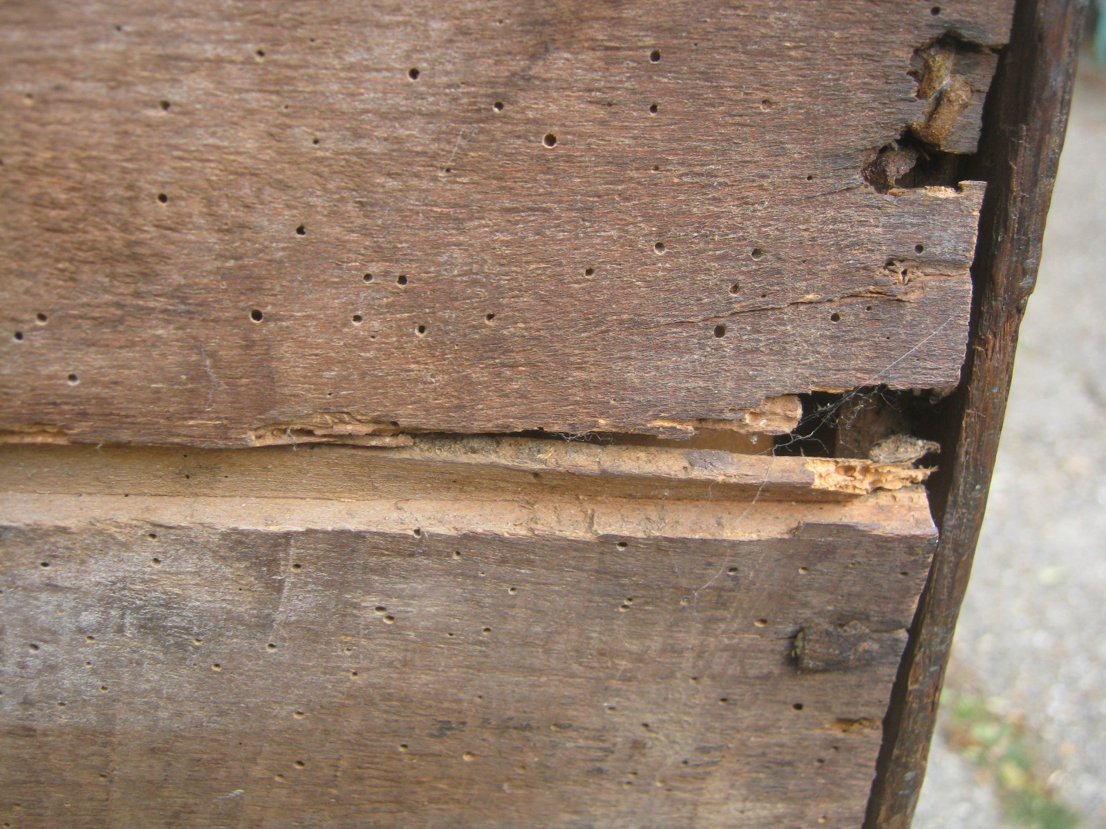 Antique Oak Coffer Vintage Chest eBay