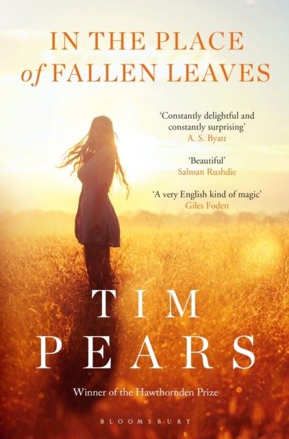 In the Place of Fallen Leaves by Tim Pears (Paperback Book)