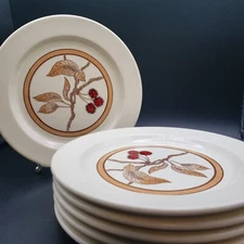 6 Anchor Hocking Ironstone Plates VTG Wild Cherry MCM Stoneware Dinnerware 8"