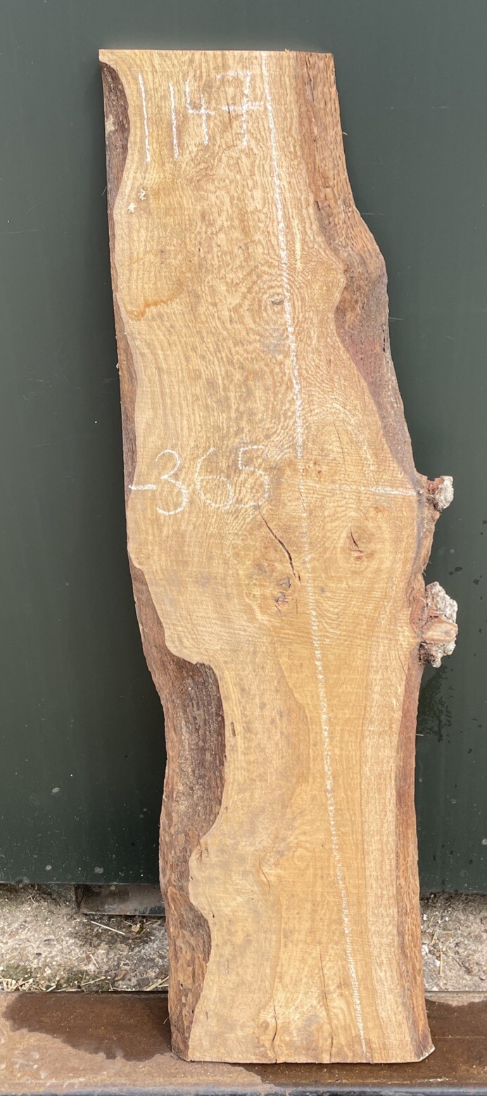 Picture 1 of 7