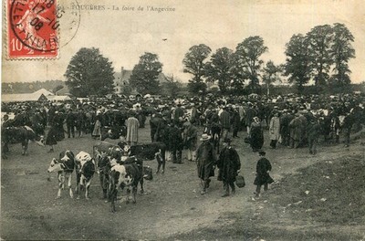 FOUGERES La Foire de l'Angevine Menge und Vieh PLUS eine Karte ANGEBOT