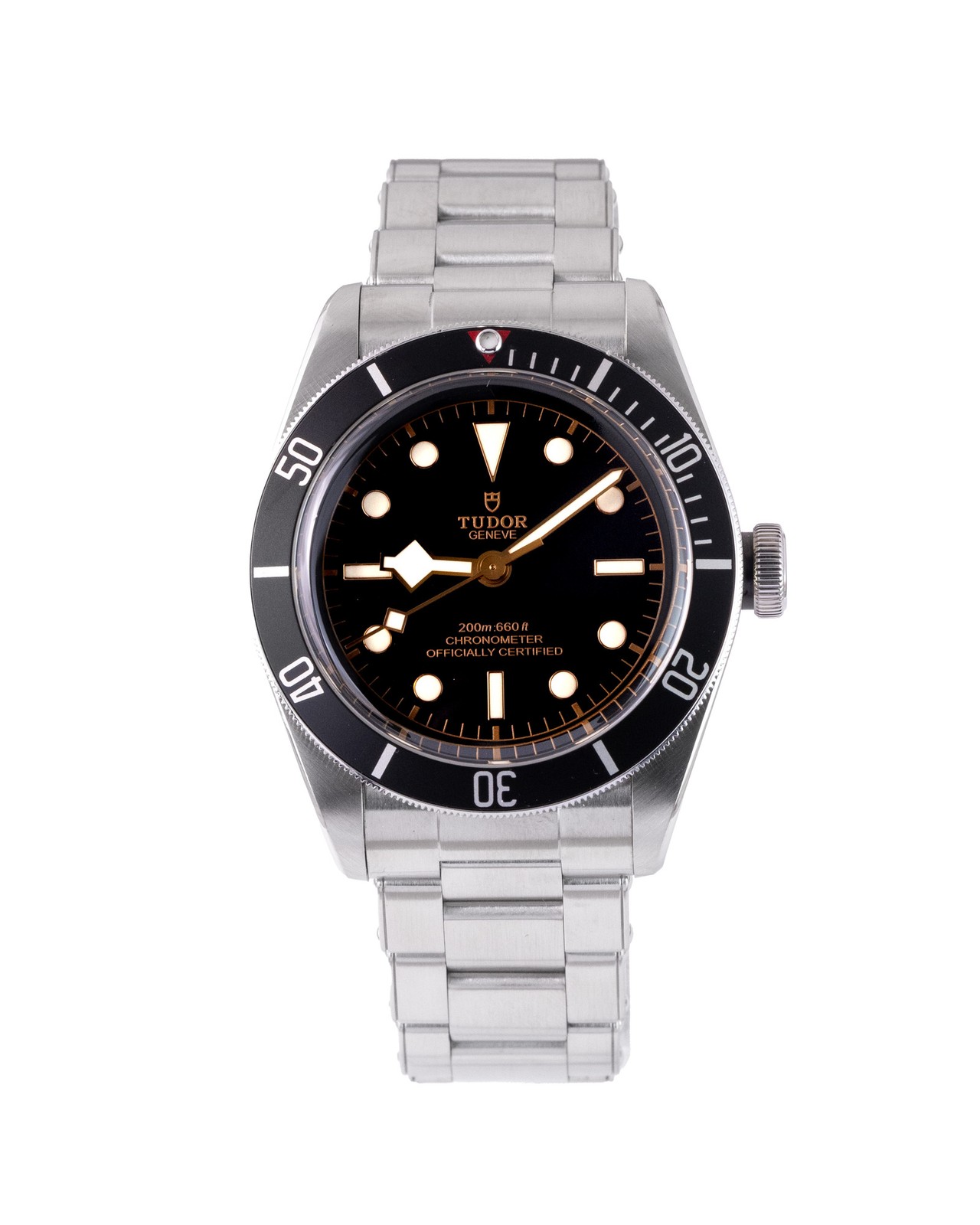 Tudor Black Bay 58 79230N 2020 (13505)