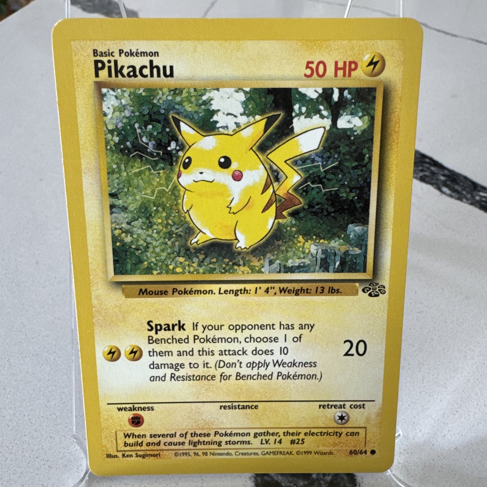 Pokemon TCG Pikachu Jungle 60/64 LP Unlimited Regular English Common