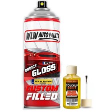 Direct Shine Aerosol Honda Lt.-Yellow HON133 + Rust Converter