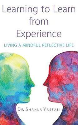 Learning to Learn from Experience: Living a Mindful Reflective L