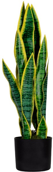 "Paperflow Kunstpflanze \"Sansevieria\" HöHe: 650 Mm"-image