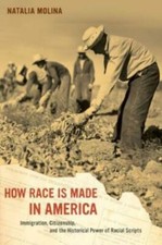 How Race Is Made In America: Immigration, Citizenship, And The Historical P...