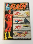 THE FLASH #205  REVERSE FLASH! 64 PAGES! BRONZE AGE DC COMICS 1971! NO RESERVE!