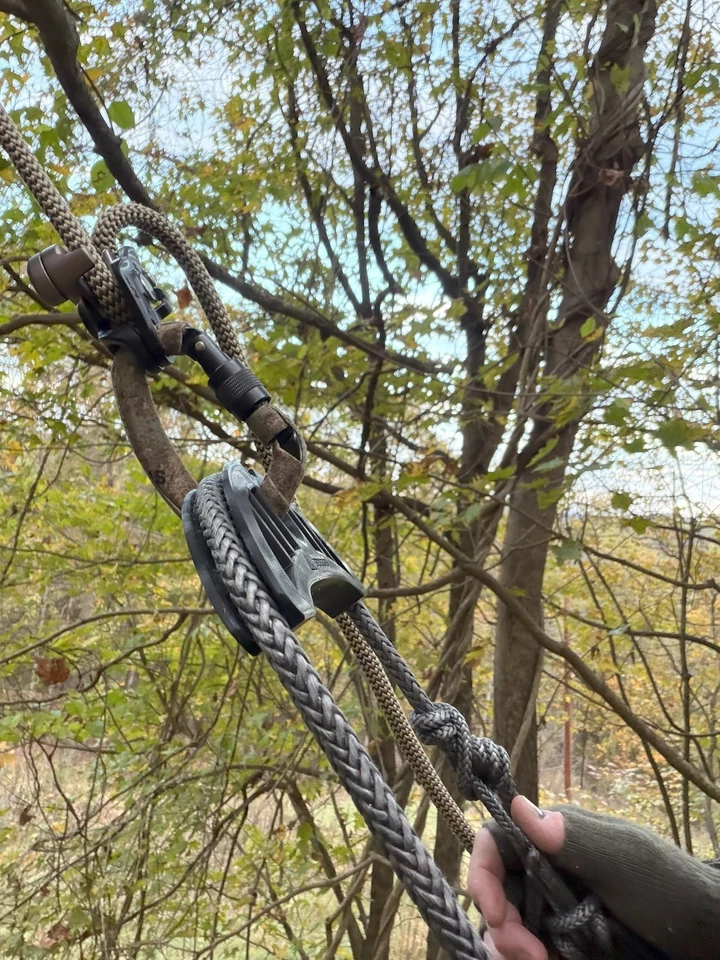 Saddle Hunting Bridge Spreader - Image 2 of 4