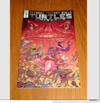 TEENAGE MUTANT NINJA TURTLES UNIVERSE #10 IDW COMICS VARIANT MAY 2017