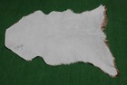GOAT Western taxidermy Hide Rug Natural Pattern Fur Goat Hide Rode SA-3909 — photo 2