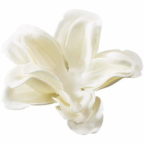 PEARL Rosenkopf-Seife: 6 cremeweiße Rosen-Duftseifen in Geschenk-Box, 2er Pack - Bild 6 von 10