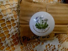 NEW Elegant  Belwith Drawer Cabinet Knobs Pulls P6106-WD Chrysanthemum Porcelain