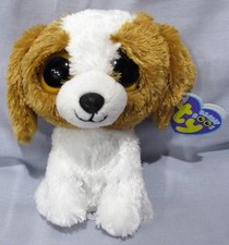 COOKIE 1st GEN "PURPLE" TAGS - Solid Eyes - Ty 6" Beanie Boos - NEW / MINT TAGS
