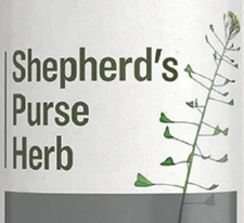 SHEPHERD'S PURSE HERB - Cardiovascular & Women's Health Single Extract Tincture