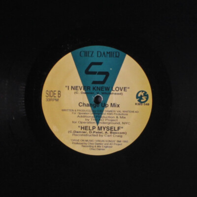 CHEZ DAMIER: i never knew love KMS 12'' Single 33 RPM