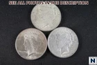 NobleSpirit (TSC) Desirable 1922 - 1924 Silver Peace Dollar Lot to Choice BU