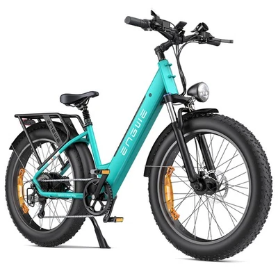 ENGWE E26 250W 48V 16Ah Bicicletta Elettrica 140KM PAS E-bike For Adult 25km/h