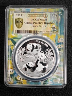 2025 China 10 Yn First Day of Issue PCGS MS70 Panda Silver Coin UNC