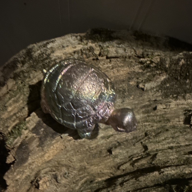 Iridescent Turtle Figurine Collectible Reptile Species Turtle