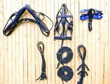 Full Size Black Horse Patent Leather Driving Harness Set Blue Trim