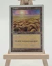 Plains (M.3) Fifth Edition (5ED) Magic Card MTG English (Level (M.3)