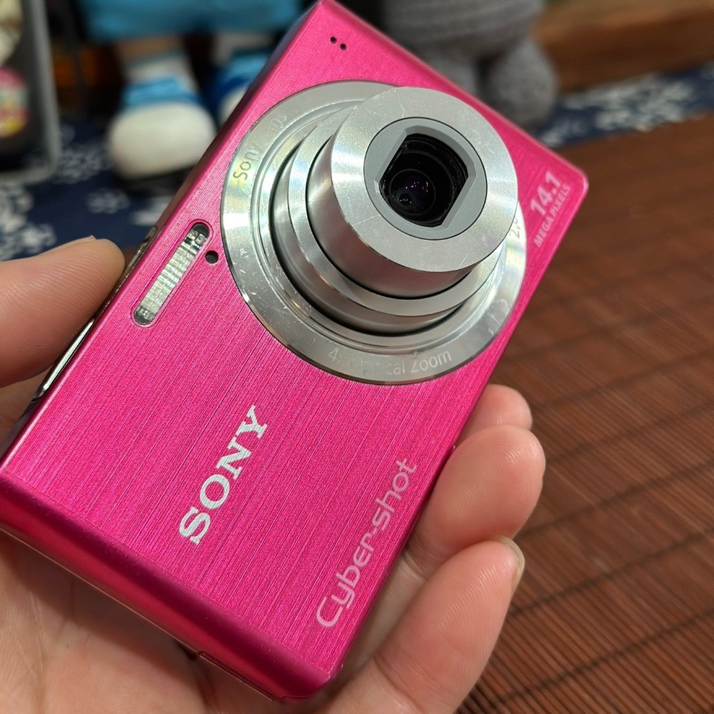 Sony Cyber-shot DSC-W610 14.1MP Digital Camera with 4x Optical