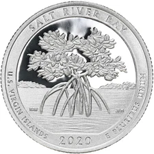 2020 S Salt River Bay National Park 99.9% Silver Quarter ATB Gem Proof DCam