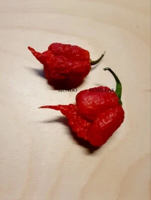 Carolina reaper (the hottest in the world) hp22b chili 20 seeds