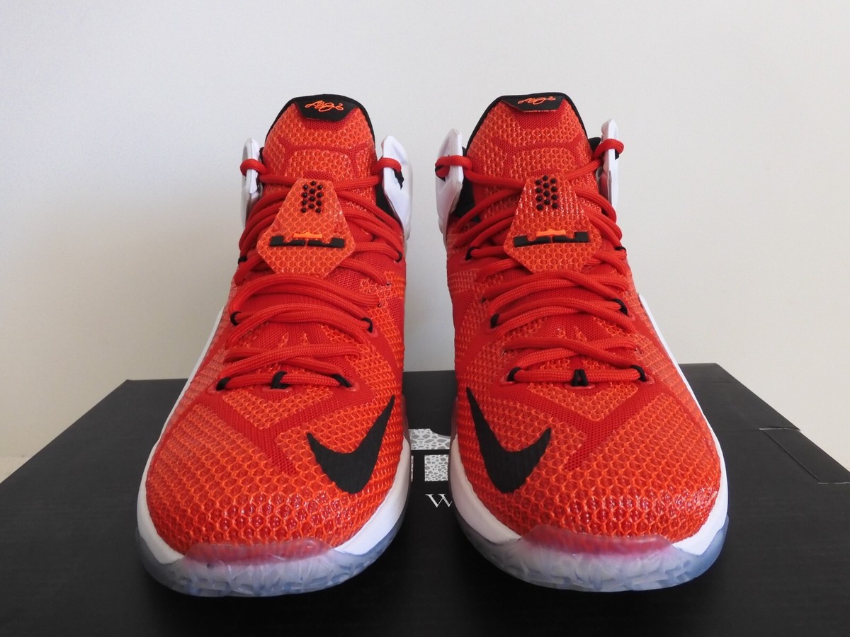 希少美品NIKE レブロン12 独立記念モデル ハイカットバスケットシューズ Nike LeBron 12 USA - 684593-616 for Sale | Authenticity