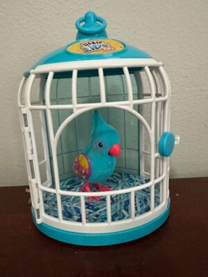 Pets Bird Cage Little Live Pets Budgie Little Live Pets Lil' Bird