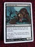 MTG Swarm of Rats  (Colonie de rats) EXC. VERY RARE Salvat-Hachette FRENCH WOTC