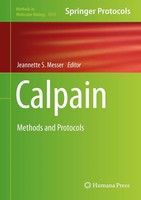Jeannette S. Messer | Calpain | Buch | Englisch (2019) | Methods And Protocols