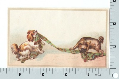 Victorian Greeting Card - Dogs Play- Unsigned Helena Maguire c 1880's