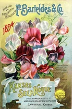 Barteldes Seed Cover #2 Flowers Reproduction Giclee Matte Print 11x17
