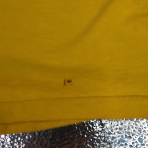 Hi Cru By Stedman Herren M/L T-Shirt Vintage 1973 Good Ass Is Hard To Find Read - Bild 4 von 10