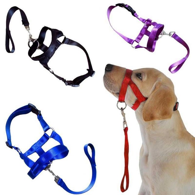 Halti Dogs Puppy Adjustable Buckle Muzzle Control Pulling Gentle Halter
