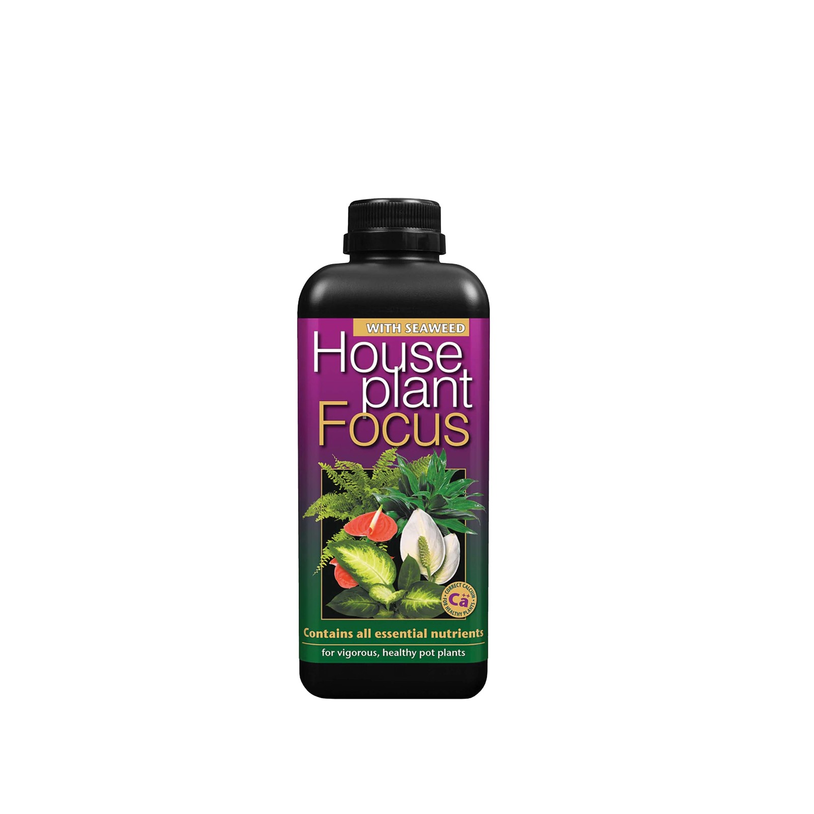 Houseplant Focus Liquid Feed 1L Concentrated for Healthy Growth & Abundant Bloom