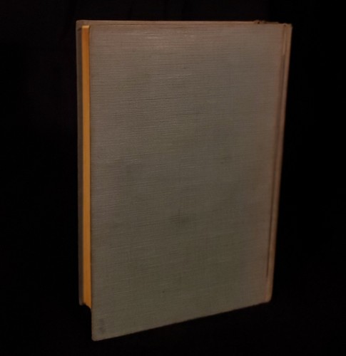 WÜSTENWINDS von Hafsa. 1927 1. Aufl., DJ. Nordafrika STAATLICHER ERSTDRUCK - Bild 3 von 13