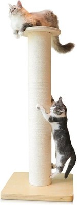 Cat Scratching Post 50'' Extra Large 7.3'' Thick 36lbs Maine Coon