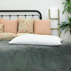 Mulberry Silk-Filled Pillows. Microfiber Inner Core for Extra Support. All Sizes