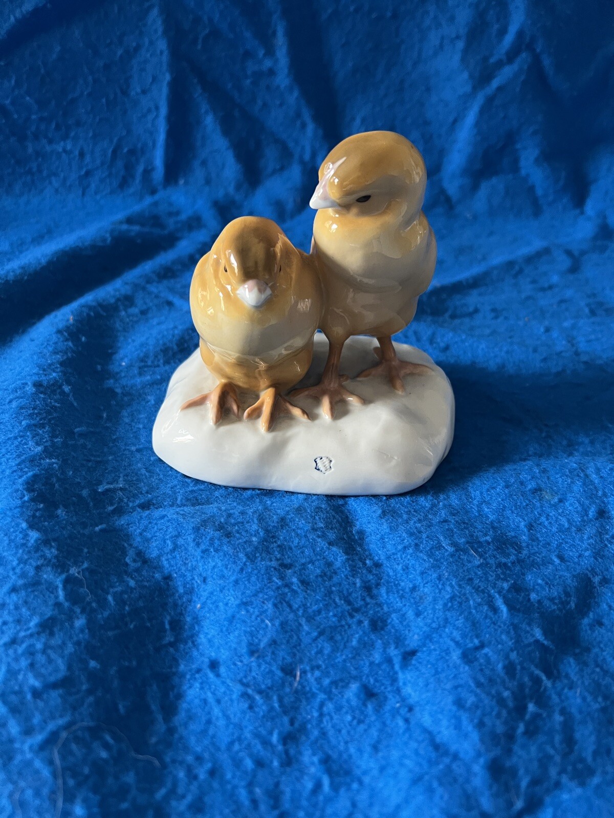 Foto 1 di 13