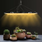600w LED Grow Lights Panel Sunlike Full Spectrum For Indoor Plants ...