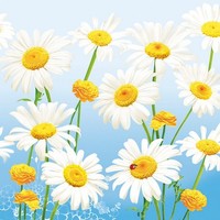 20 Servietten Lovely Marguerites On Blue Margeriten Blumen Garten Blau 33X33Cm