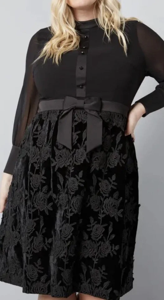 Ana Sui x Mod 布连衣裙长袖雪纺贴花天鹅绒裙 10 码 — 第 2/4 张图片