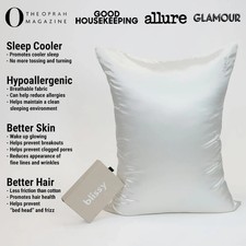 BLISSY MOMME 22 Queen WHITE MULBERRY SILK PILLOWCASES New In Box